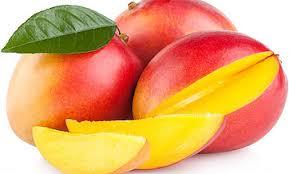 GAMMA- FRUTA SEMIÁCIDAS-EDNA ROCIO SALAZAR ANDRADE