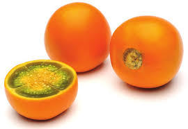GAMMA- FRUTA SEMIÁCIDAS-EDNA ROCIO SALAZAR ANDRADE
