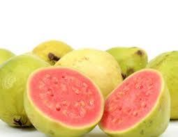 GAMMA- FRUTA SEMIÁCIDAS-EDNA ROCIO SALAZAR ANDRADE