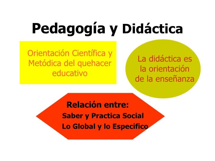 ¿Cómo se realizan los procesos de investigación en el área de la pedagogía y en el área de la didáctica?