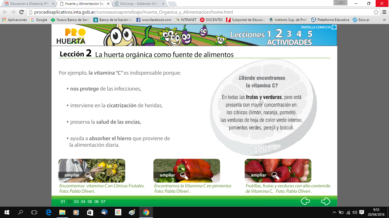 Huerta y Alimentacion Saludable (Tecnología y Fco.Química) Nivel 2
