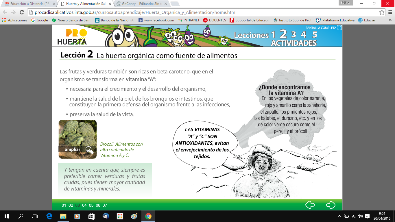Huerta y Alimentacion Saludable (Tecnología y Fco.Química) Nivel 2