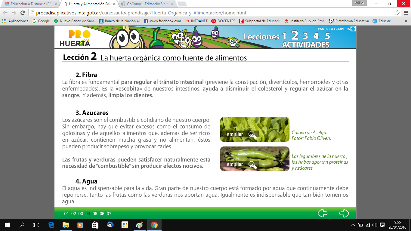 Huerta y Alimentacion Saludable (Tecnología y Fco.Química) Nivel 2