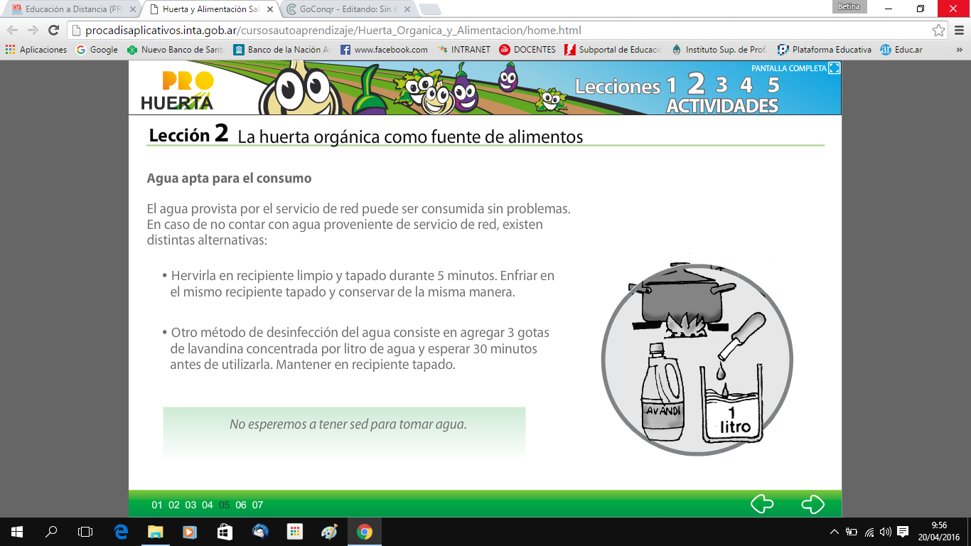 Huerta y Alimentacion Saludable (Tecnología y Fco.Química) Nivel 2