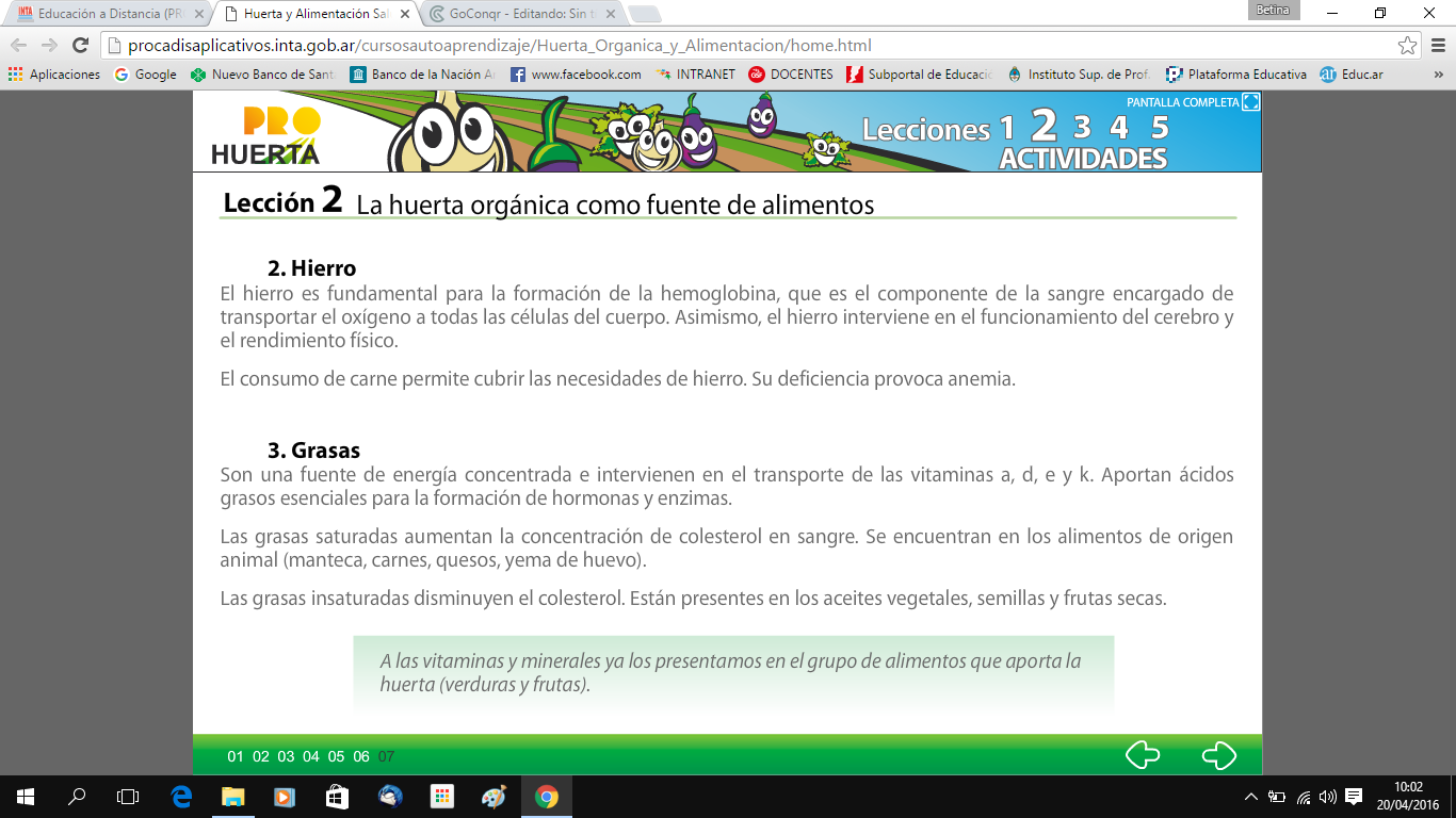 Huerta y Alimentacion Saludable (Tecnología y Fco.Química) Nivel 2
