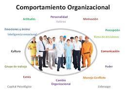 ¿QUE ES EL COMPORTAMIENTO ORGANIZACIONAL?