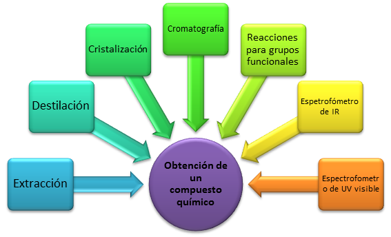 Aprendizaje Mediante Proyecto AMP: Elaboración de un producto natural medicinal