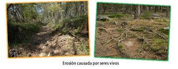 ENLACES DE EDUCAPLAY Y APUNTES SOBRE PROBLEMAS AMBIENTALES EN COSTA RICA