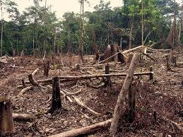 ENLACES DE EDUCAPLAY Y APUNTES SOBRE PROBLEMAS AMBIENTALES EN COSTA RICA