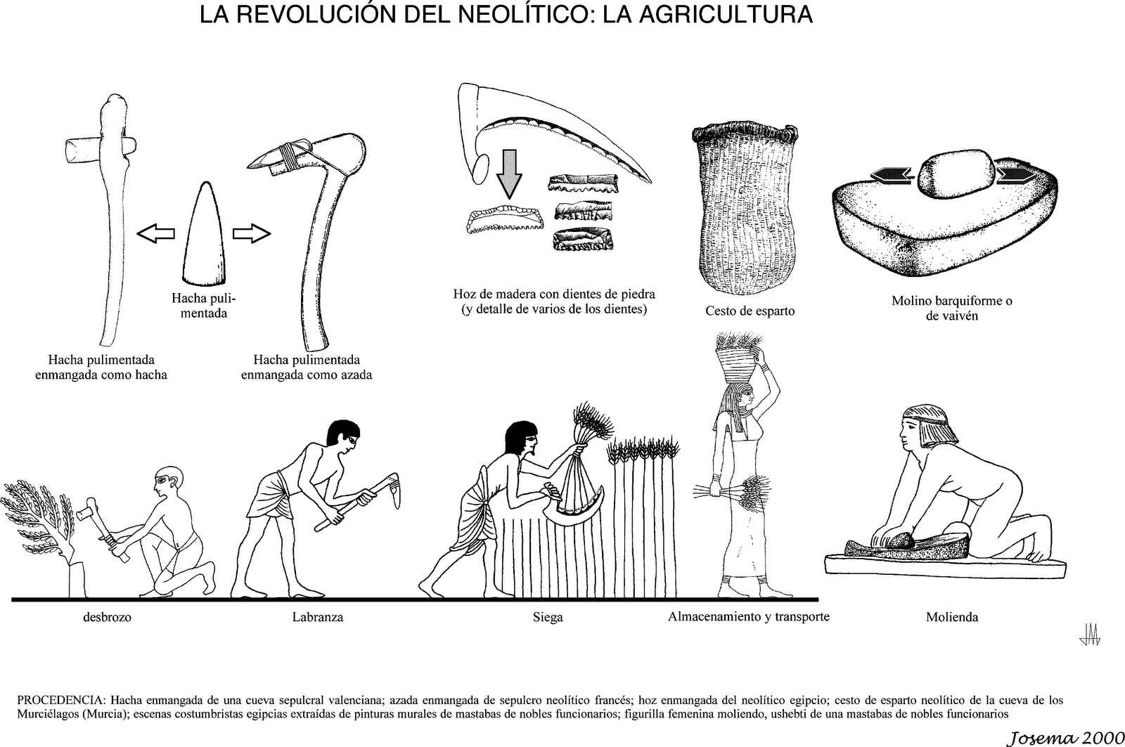 ¨ORIGEN Y EVOLUCIÓN DE LA CIENCIA Y LA TECNOLOGÍA¨