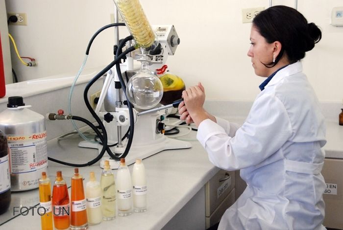 Articulo: Origen y Evolución de la Ciencia y la Tecnología