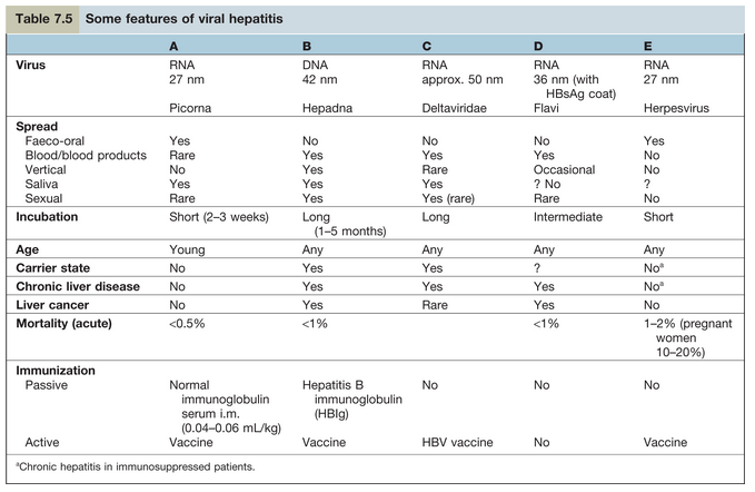 Summary of Features of Viral Hepatitis