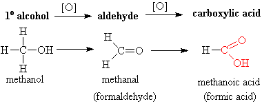 10. Organic Chemistry