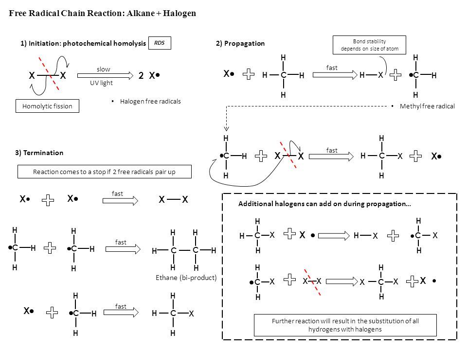 10. Organic Chemistry