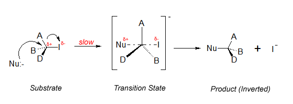 10. Organic Chemistry