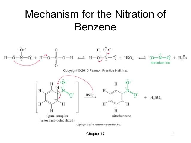 10. Organic Chemistry