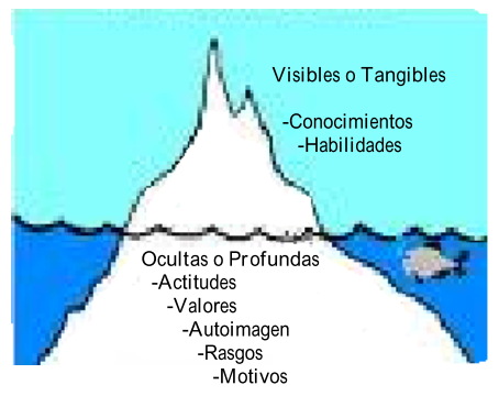 Manual de Entrevista por competencias SNEGRO (2008)