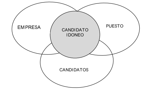 Manual de Entrevista por competencias SNEGRO (2008)