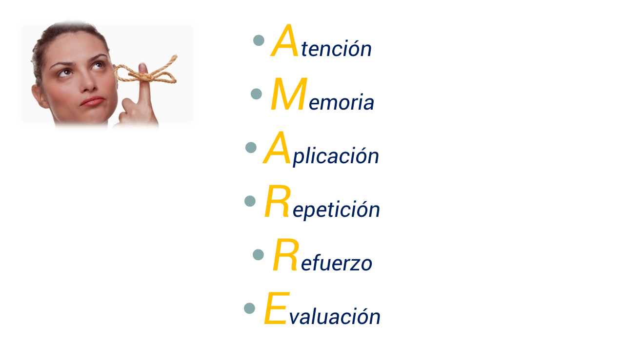 Síntesis de los componentes del AMARRE de los aprendizajes