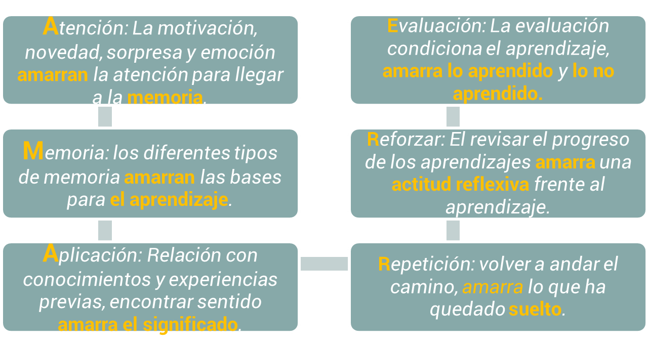 Síntesis de los componentes del AMARRE de los aprendizajes
