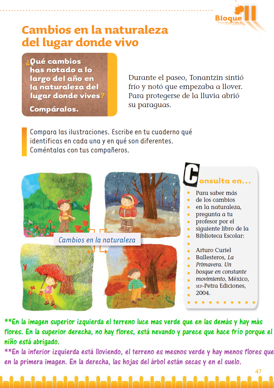 CAMBIOS DE LA NATURALEZA EN DONDE VIVO