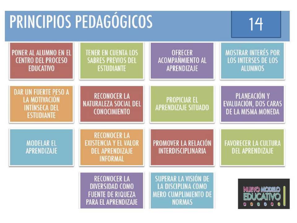 PLAN DE ASESORÍA TÉCNICA PEDAGOGICA EN VERACRUZ