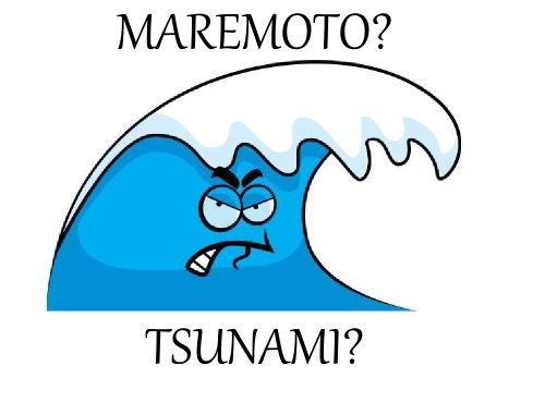 QUAL É A DIFERENÇA ENTRE MAREMOTO E TSUNAMI ?