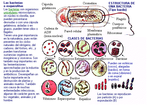 UNIDAD 10 - RIESGOS LABORALES DERIVADOS DE CONDICIONES AMBIENTALES