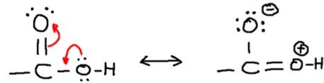 Org. chemie - 14_16 Carbonzuren