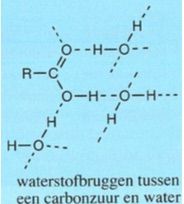 Org. chemie - 14_16 Carbonzuren