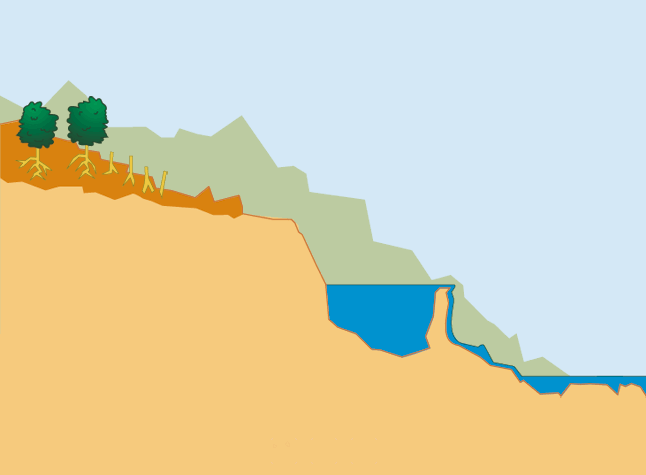 Unidad didáctica 3: Naturaleza y Sociedad