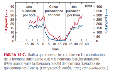 Ciclo menstrual y neuroendocrinología de la reproducción