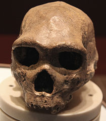 Prehistoria de la Península Ibérica. Apuntes