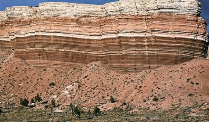 Resumo global da matéria de Biologia e Geologia (10.º e 11.º anos)_2