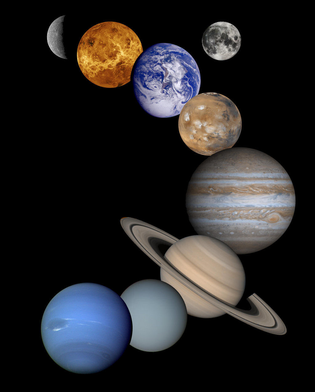 Resumo global da matéria de Biologia e Geologia (10.º e 11.º anos)_2