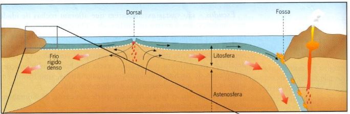Resumo global da matéria de Biologia e Geologia (10.º e 11.º anos)_2
