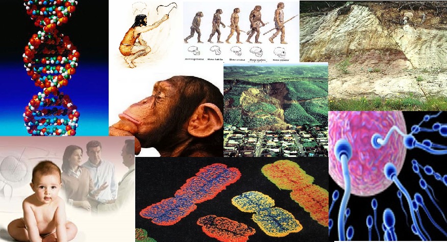 Resumo global da matéria de Biologia e Geologia (10.º e 11.º anos)_2