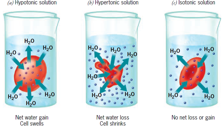 Osmotic Pressure