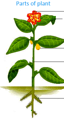 Image for question 17