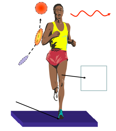 Image for question 31