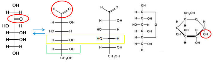 Image for question 32