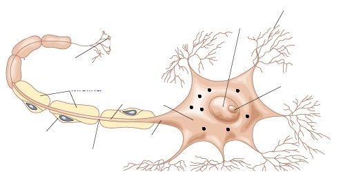 Image for question 2