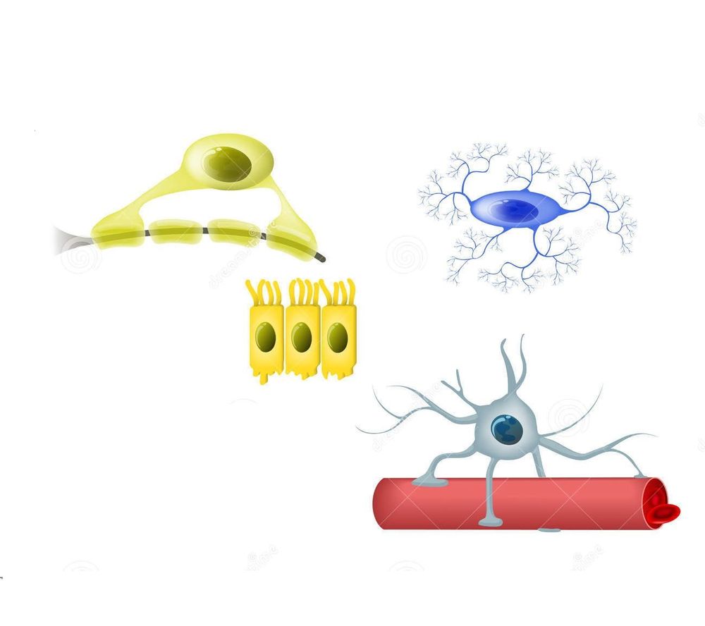 Image for question 4