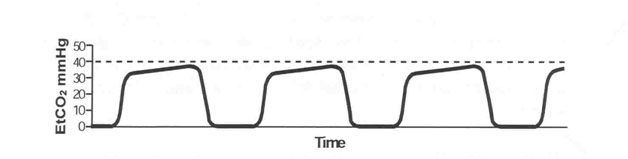 Image for question 20