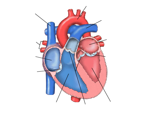 Image for question 2