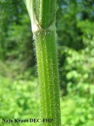 Image for question 2