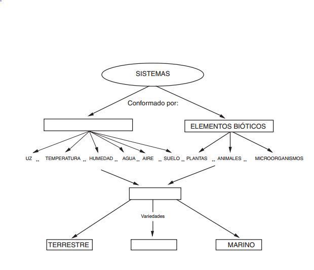 Image for question 3