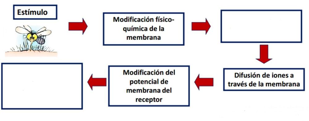 Image for question 3