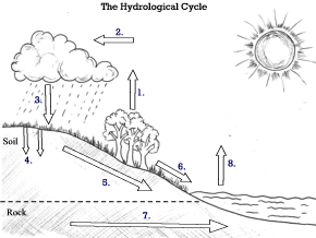 Image for question 11