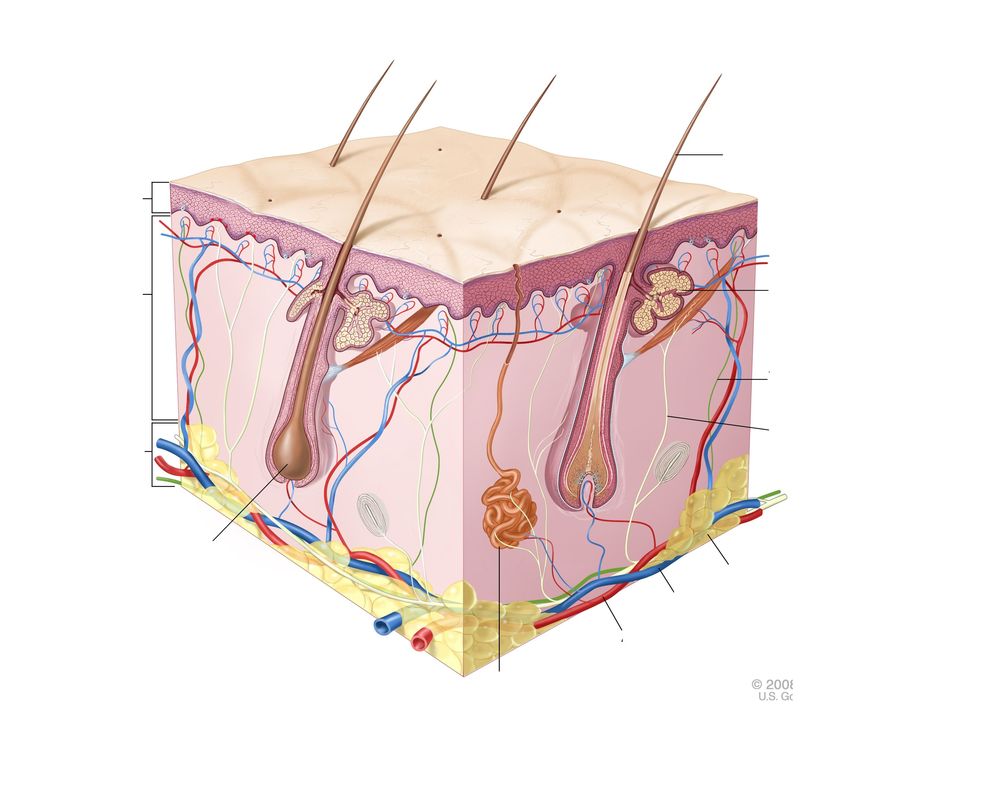 Image for question 1